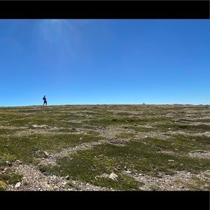 Meet your Posher, Jocelyn